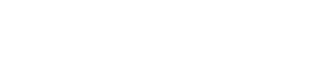 Gerente Hospital Susana L pez de Valencia