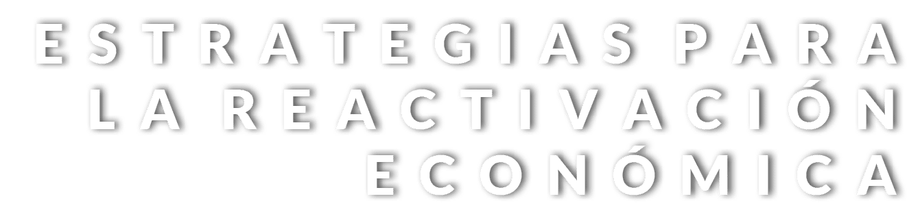 E S T R A T E G I A S P A R A L A R E A C T I V A C I   N E C O N   M I C A 