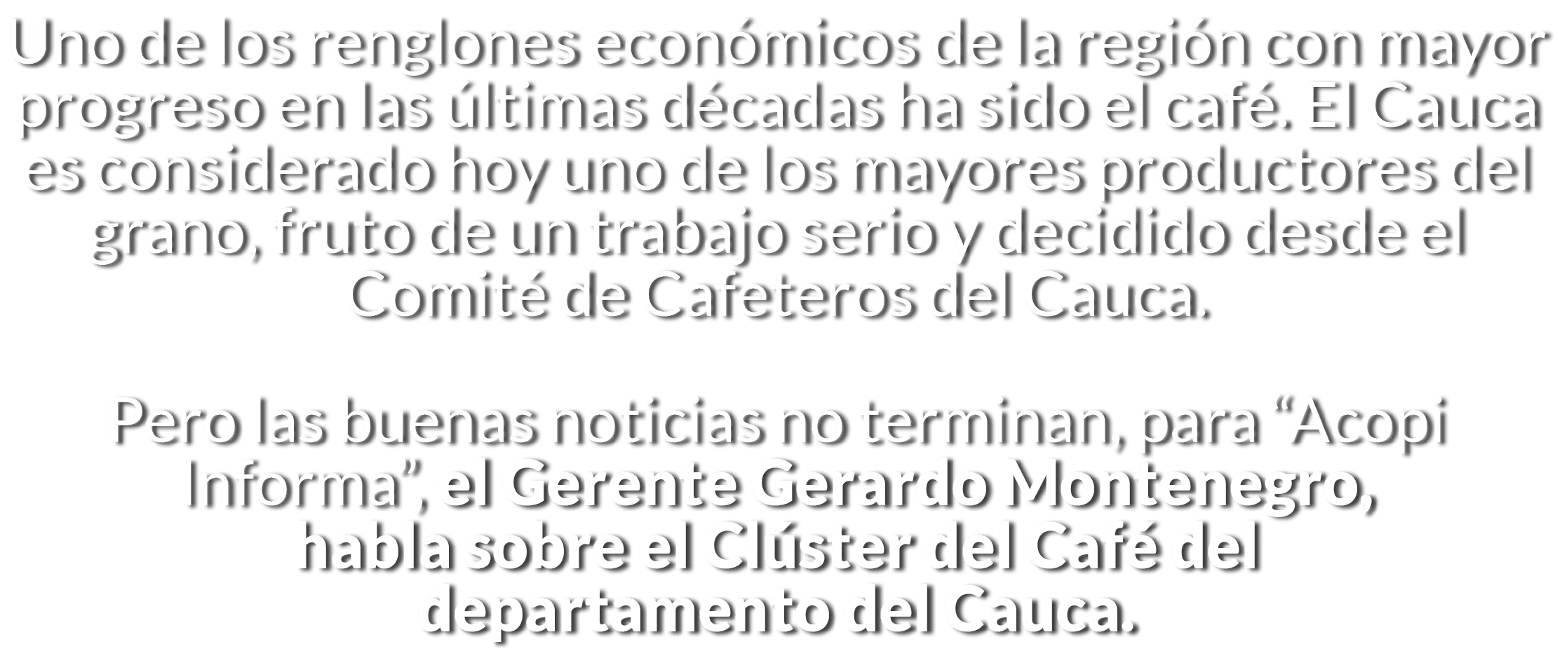 Uno de los renglones econ micos de la regi n con mayor progreso en las  ltimas d cadas ha sido el caf   El Cauca es c   